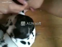 POV brutal sex film in which a dog biscuit licks a white, fresh-faced wife